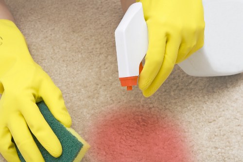 Professional deep cleaning service in action