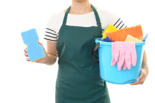 Steam cleaning equipment being used on a rug