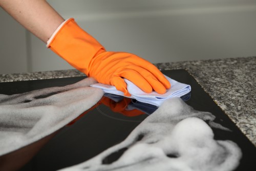 A clean oven interior showcasing spotless surfaces