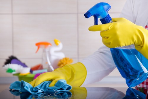 Professional team conducting house clearance