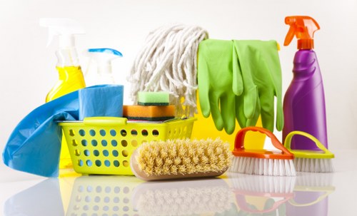 Professional cleaners removing debris