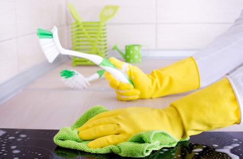 Eco-friendly cleaning process at Acton Cleaners