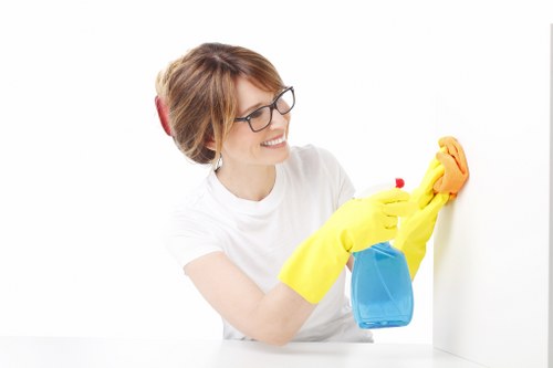 Environmentally friendly cleaning products