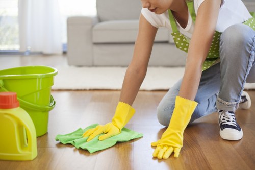 Eco-friendly cleaning solutions for a kitchen oven